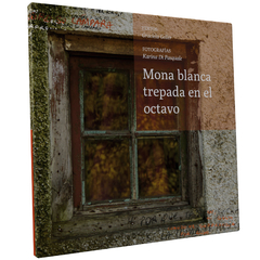 Mona trepada en el octavo (Textos: Graciela Geller, fotografas: Karina Di Pasquale)