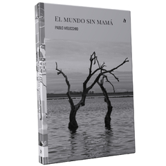El mundo sin mamá, de Pablo Melicchio