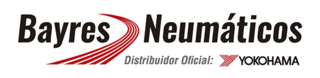 Bayres Neumáticos