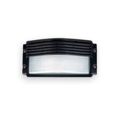 Tortuga negra rectangular con visera - comprar online