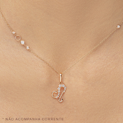 PINGENTE SIGNO LEÃO - comprar online