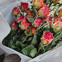 Flores Secas