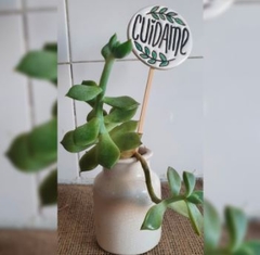 Mini tutores