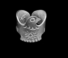 Anillo Luz
