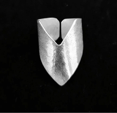 Anillo Atacama