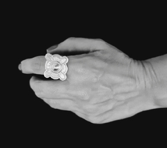 Anillo Ecuador en internet
