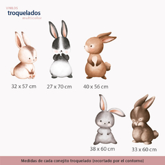 Conejitos en internet