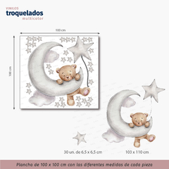 Teddy en la luna en internet