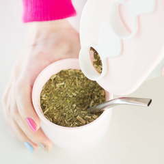 Mate térmico con bombilla en internet