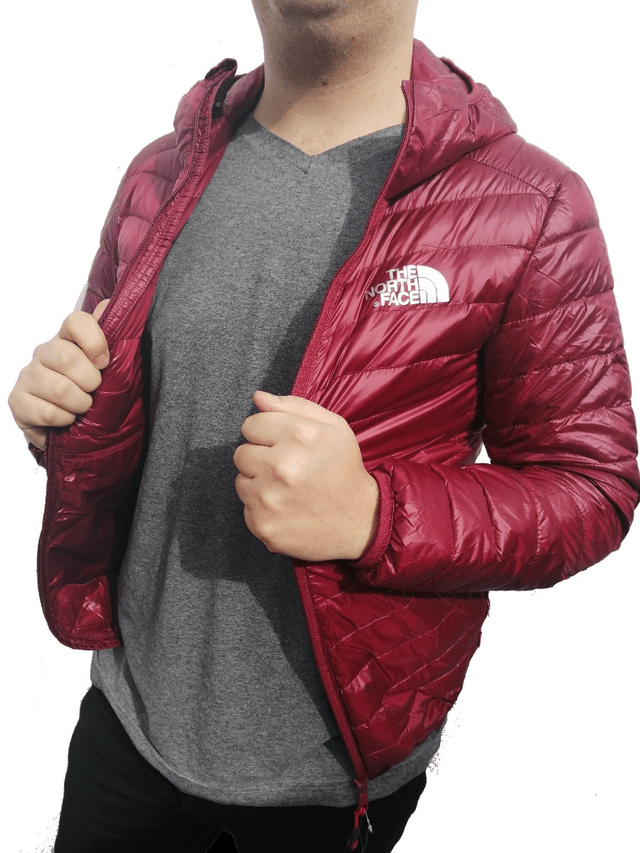 campera north face hombre pluma