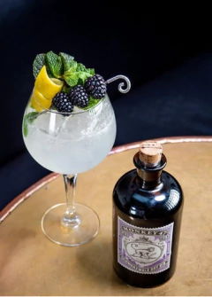 Monkey 47 Gin - comprar online