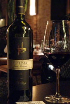 Septima Gran Reserva 2010 (compra Minima 3 Unidades) en internet