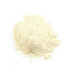Cebola em Pó - 100g