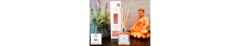 Banner de la categoría Humidificadores, Difusores y Aromatizantes
