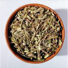 salvia blanca para sahumar