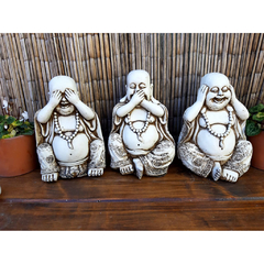 budas sabios