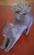Gatitxs suculentxs - comprar online