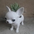Imagen de Chihuahuas suculentos