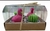 Set de Velas Formitas - comprar online