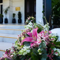 Imagen de HOTEL DE LOS FAMOSOS