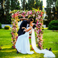 Boda Danitza y Philip en internet