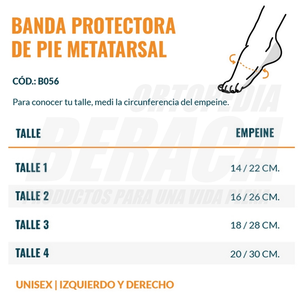 BANDA METATARSAL TEJIDA CON OLIVA - ORTOPEDIA BERACA