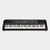 TECLADO PORTABLE YAMAHA PSR-E273 en internet