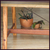 Mesa de jantar Aruanã 200x110x75 - loja online