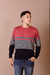 Sweater Bastian - Digito Hombre - comprar online