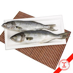 Anchoa de Banco Entera - Comprar en Pescaderia Modelo