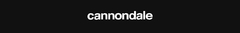 Banner de la categoría CANNONDALE