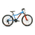Raleigh Scout Disc R24