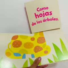 Adivina Adivinador SAFARI - Faro de Papel