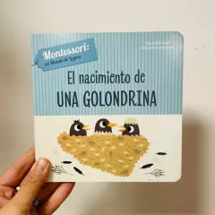 El nacimiento de una golondrina