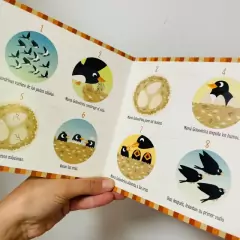 El nacimiento de una golondrina - Faro de Papel