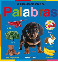 Mi libro desplegable de Palabras