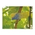 Papel hidrosensible ARAG 76 x 26 mm