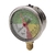 Manómetro isométrico ARAG salida inferior 1/4 de 25kg modelo 9180525