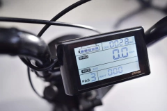 Bertha Street 500w | BLANCA en internet