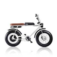 Bertha Street 500w | BLANCA