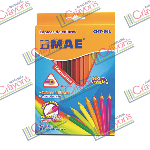 Lápices de Colores Crayola Borrables Set de 12