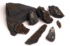 Shungite with Pyrite Rough