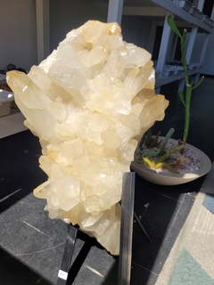 Clear Quartz Cluster
