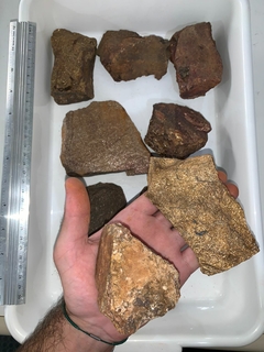 Bronzite
