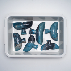 Trolleite Whale Tail - buy online