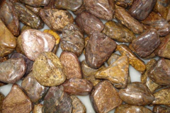 Bronzite Tumbled