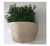 Maceta De Pared Colgante Plástico 21×17cm con Recolección Agua - tienda online