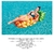 Imagen de Colchoneta Flotador Inflable Pileta Ananá 174x96 Cm