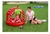 Pileta Bebe Inflable Con Techo Frutilla