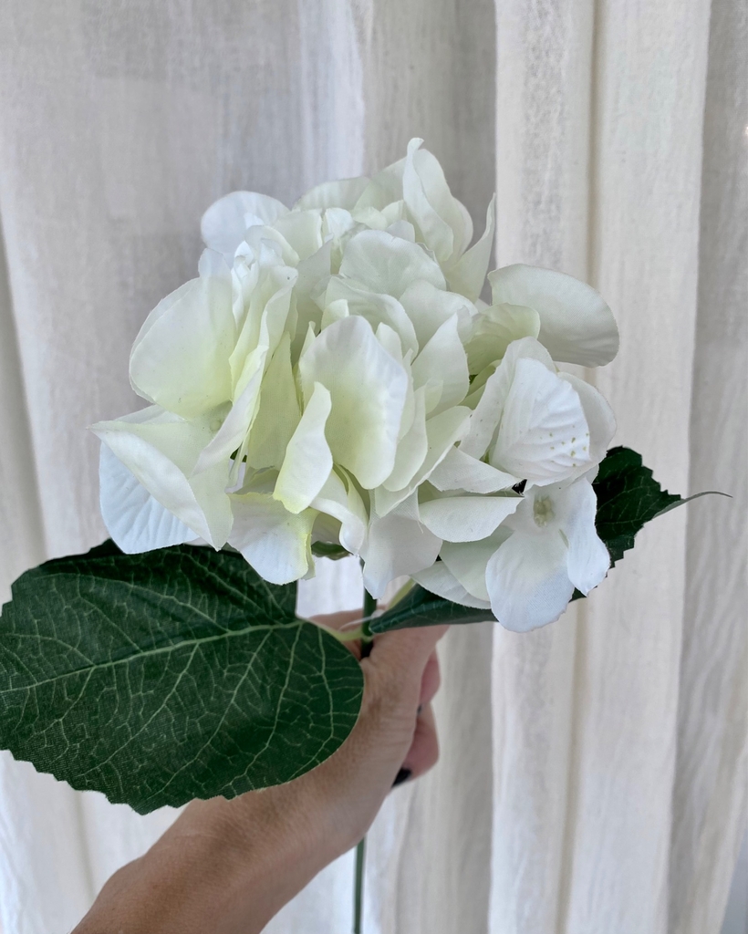 Vara de hortensia blanca - Comprar en Kositas